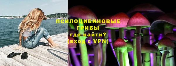 дурь Горняк