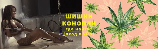 гашик Вяземский