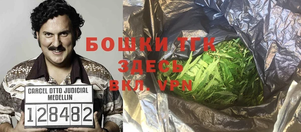 стаф Вязьма