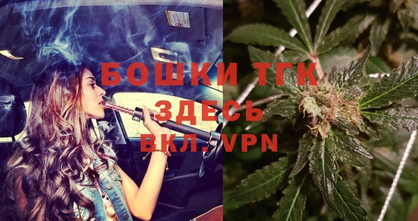 2c-b Горнозаводск