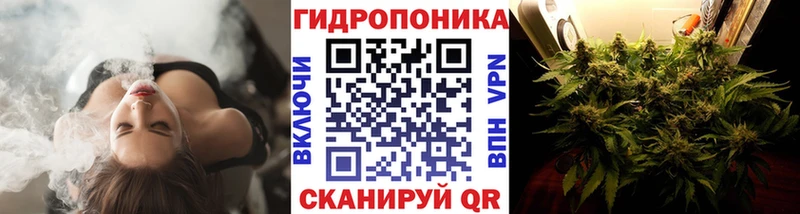 Бошки марихуана сатива  купить наркотики цена  Тара 